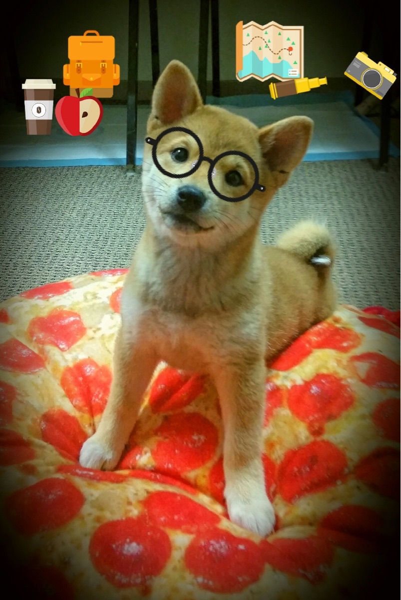 潜力新人：未来五年最值得关注的“黑马新秀”，潜力股和黑马是一个意思吗