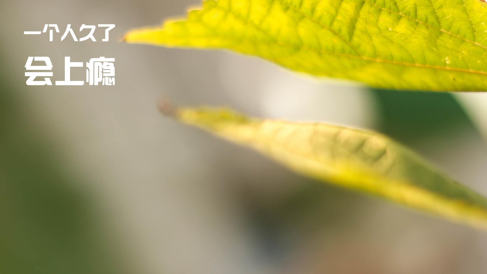 上港战胜泰达，恒大遭遇劲敌逼近积分榜，上港与恒大补赛结果