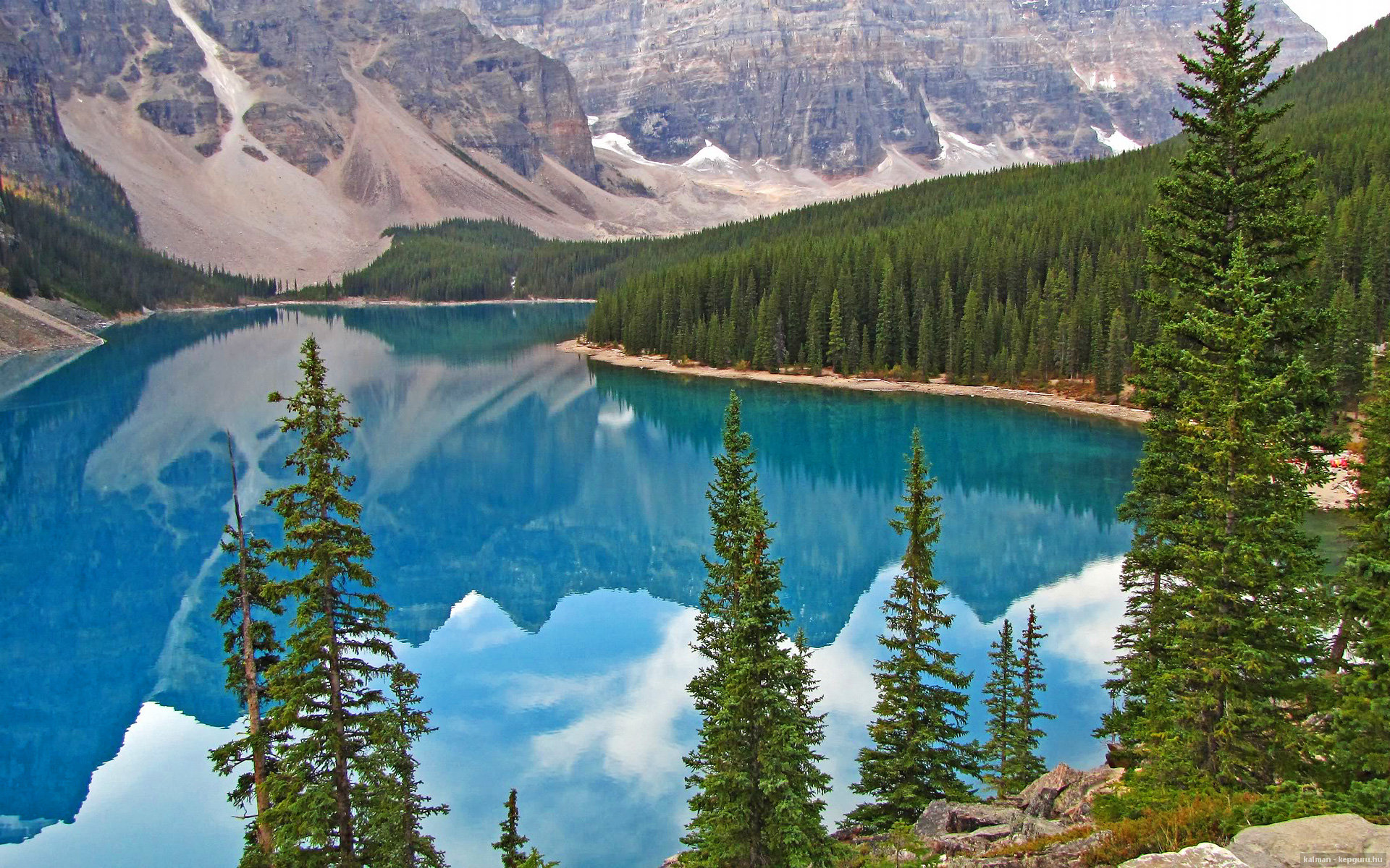 切尔西女足主场比赛精彩瞬间，切尔西女足欧冠