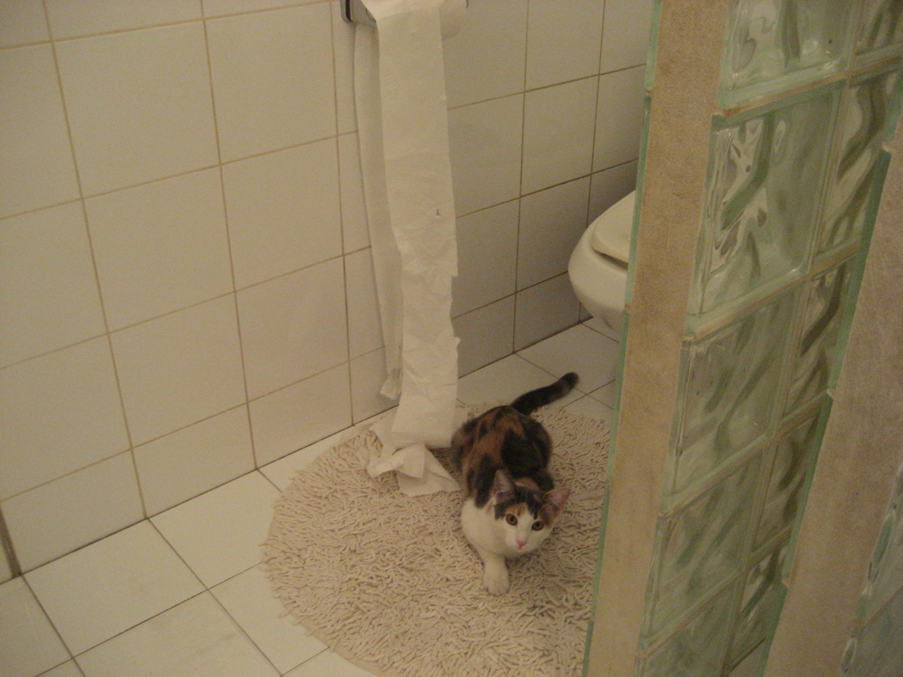 爱游戏娱乐网址-加的斯战胜毕尔巴鄂，实现四连胜，加的斯和巴萨