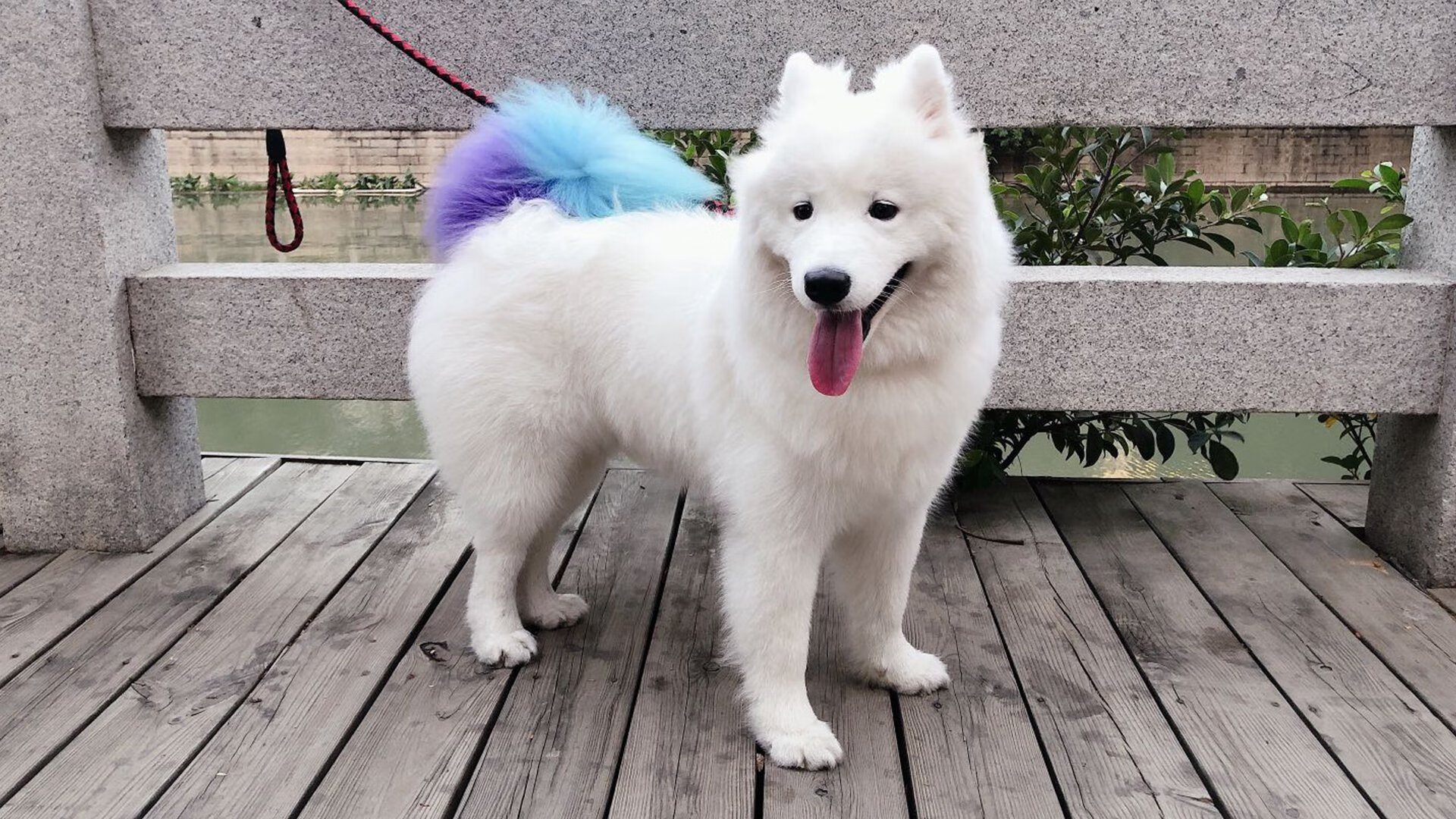 爱游戏体育-多特蒙德力争击败杜塞尔多夫德比，多特蒙德到杜塞尔多夫的距离