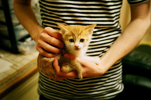 爱游戏在线登录入口-新疆广汇退出CBA引发联盟震动，新疆广汇篮球俱乐部微博