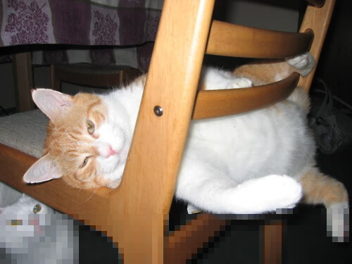 爱游戏电竞官网-电竞社区冲突管理与和谐建设策略，电竞社区平台