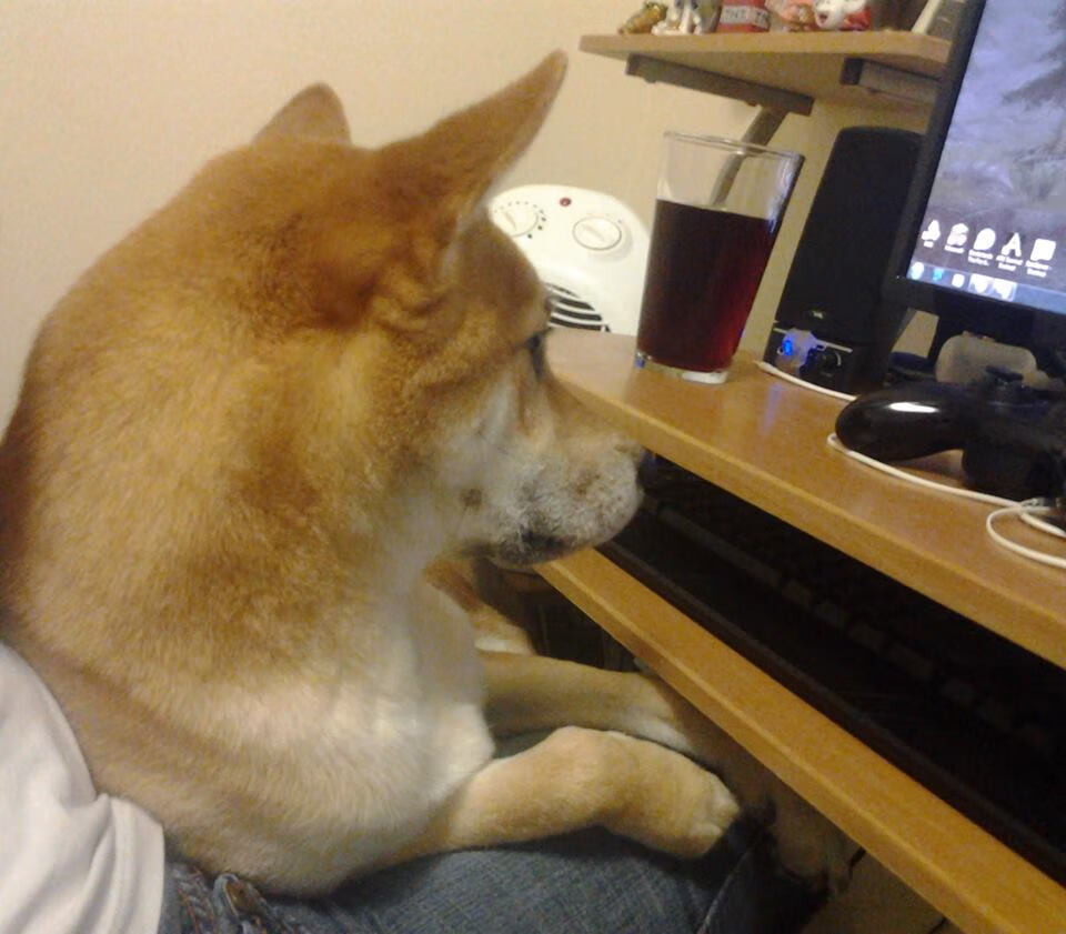 电竞游戏设计中竞技平衡与玩家公平体验的双重保障，电子竞技的赛事公平性体现在哪几个方面_