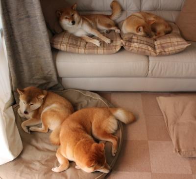 爱游戏体育app-盛大颁奖典礼热闹举行，女足比赛营造氛围，全运会女足颁奖仪式