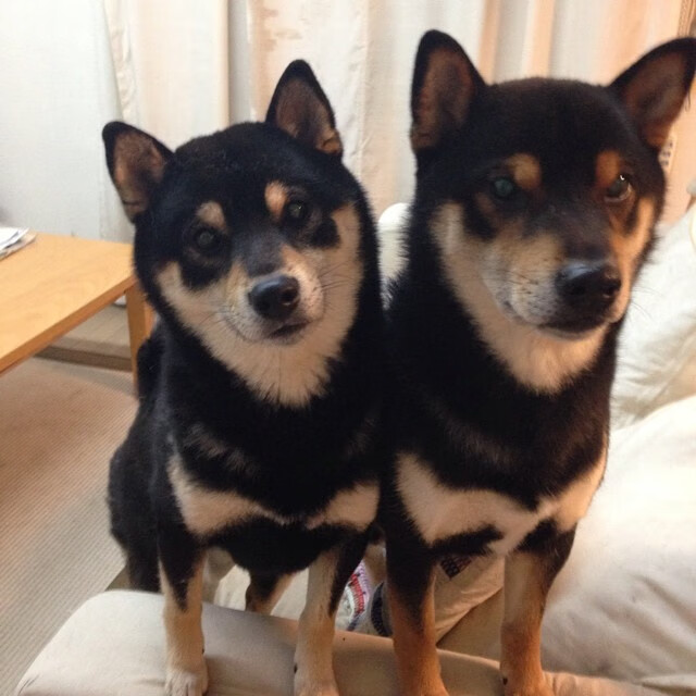 爱游戏官方网站-雷霆压哨战胜湖人，季后赛首轮中亚历山大锁死对手，雷霆亚历山大季后赛数据