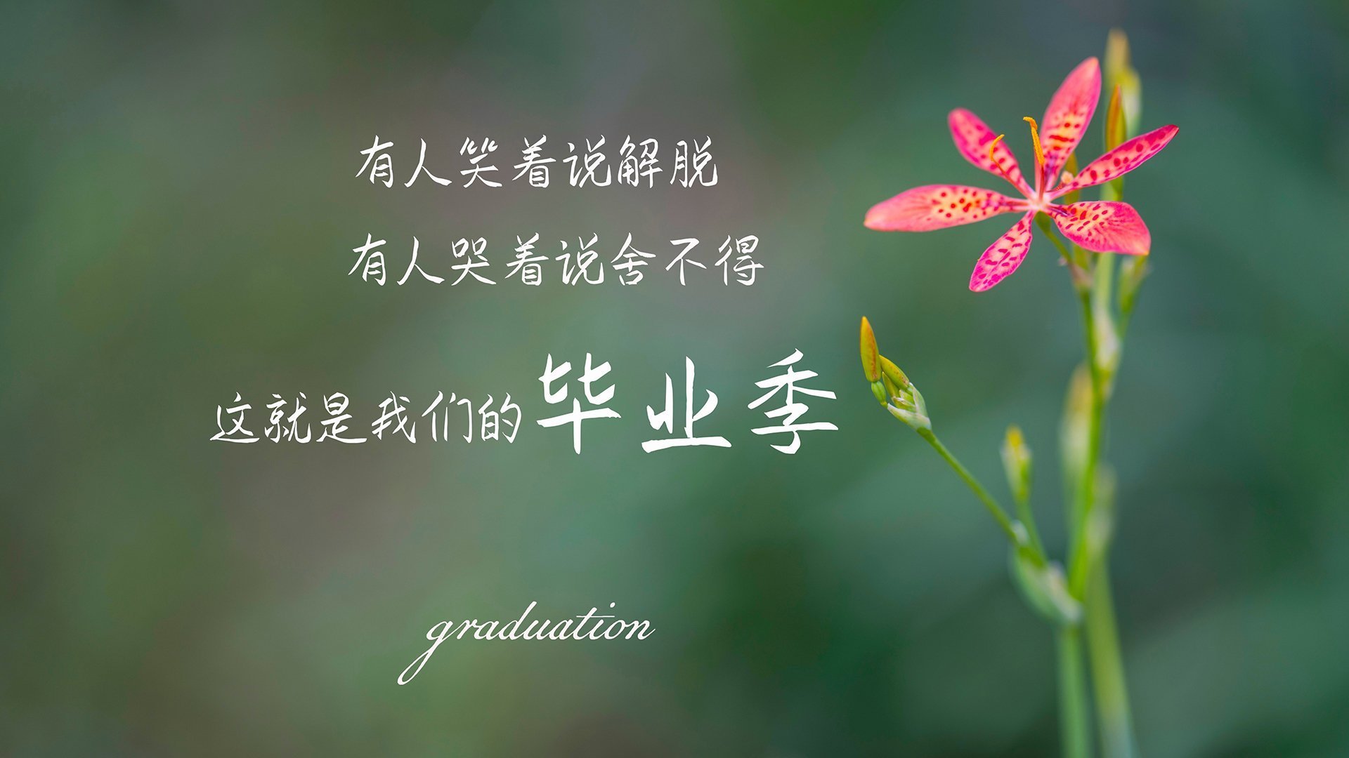 雷霆压哨战胜湖人,季后赛首轮中亚历山大锁死对手,雷霆亚历山大季后赛数据