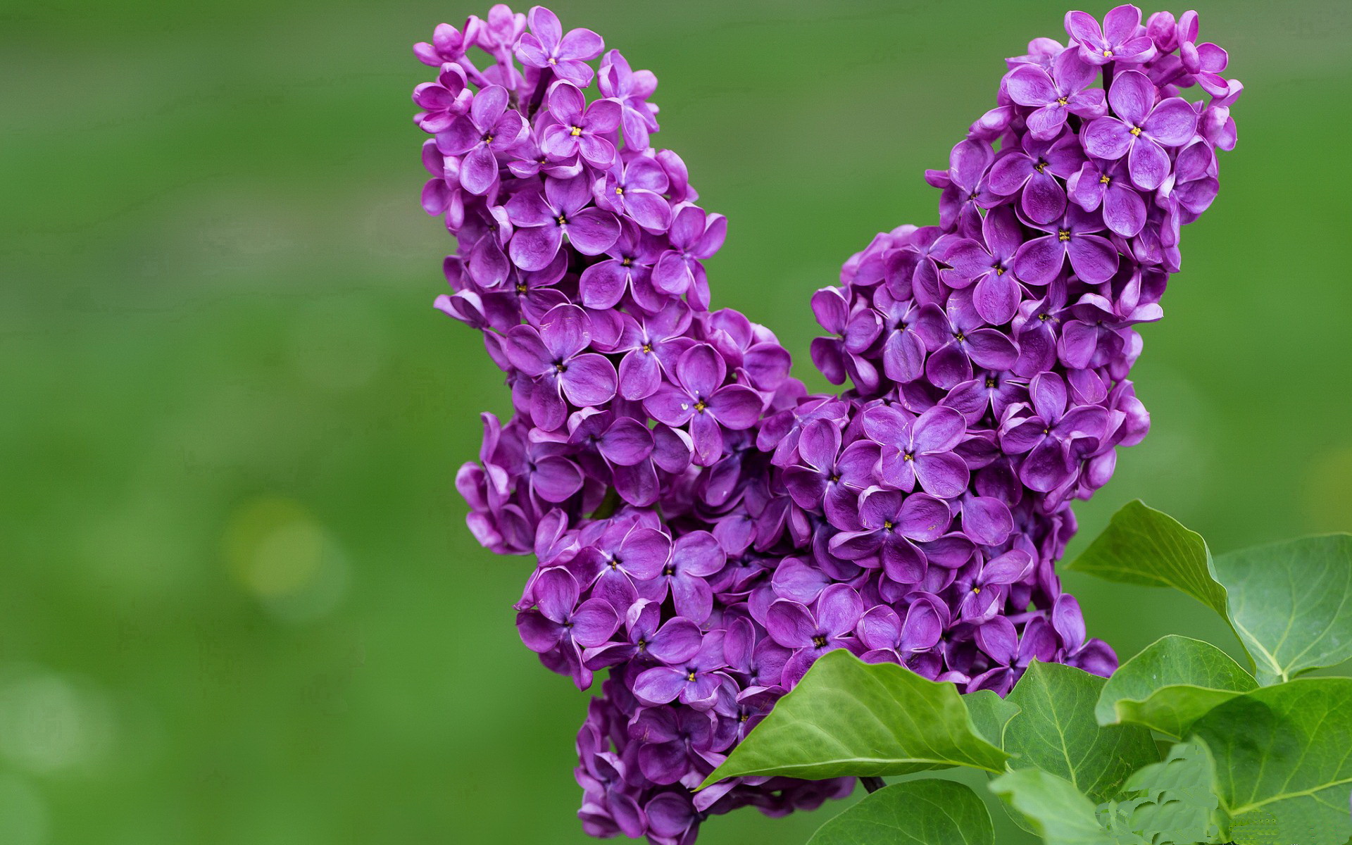 中国篮球青少年篮球发展政策影响分析，中国青少年篮球的发展方向