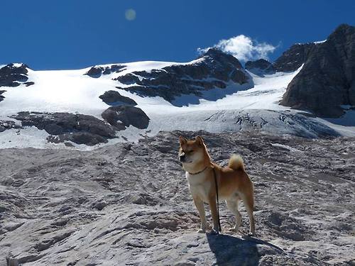 AIYOUXI.COM-“热刺全力反扑，阿仙奴的稳健防守能否守住胜果？”