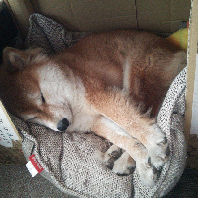 球员高强度训练计划大公开，高强度篮球训练后应该注意些啥