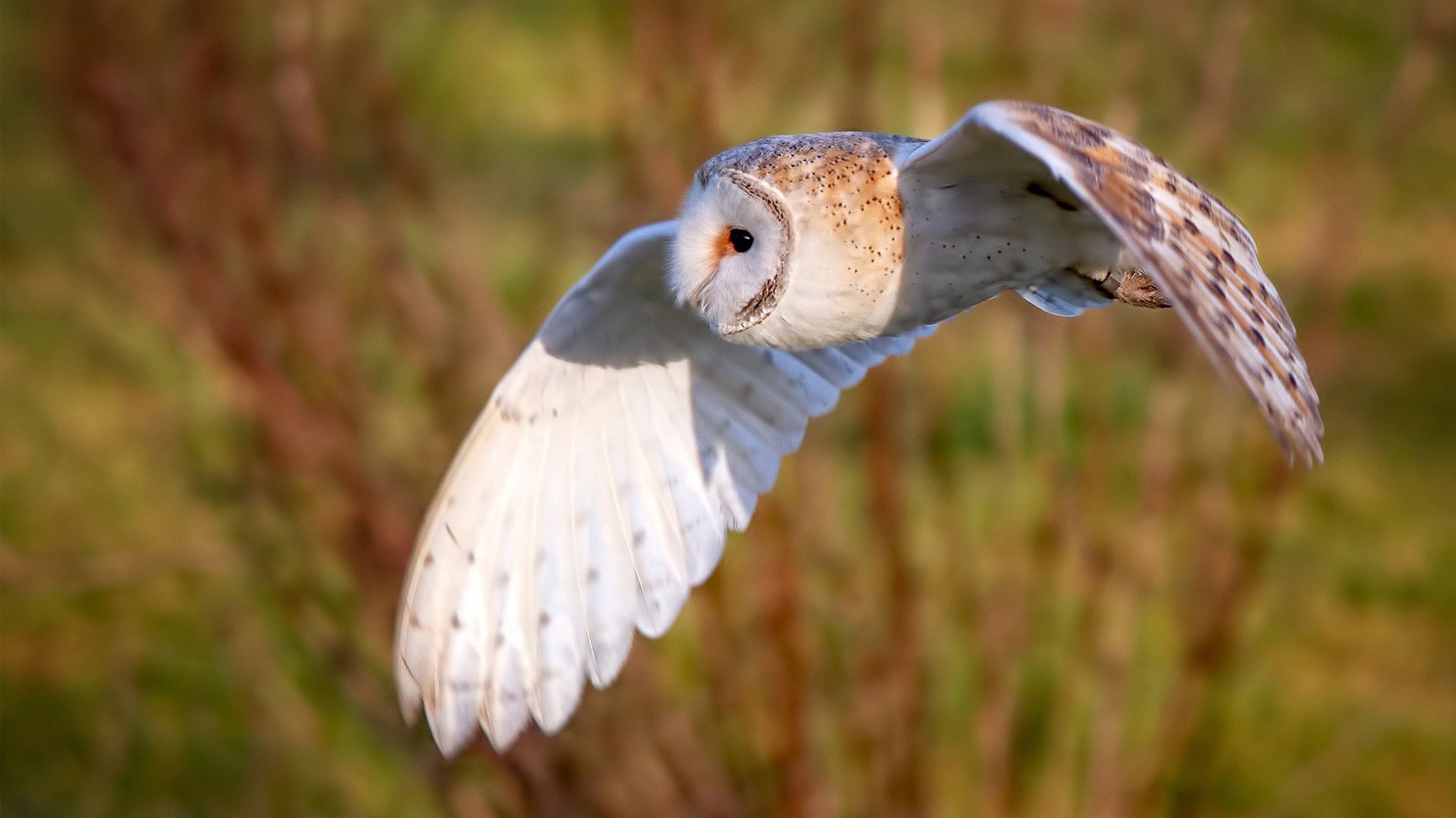 中国足球青少年训练营招生规模扩大，青少年足球培训招生