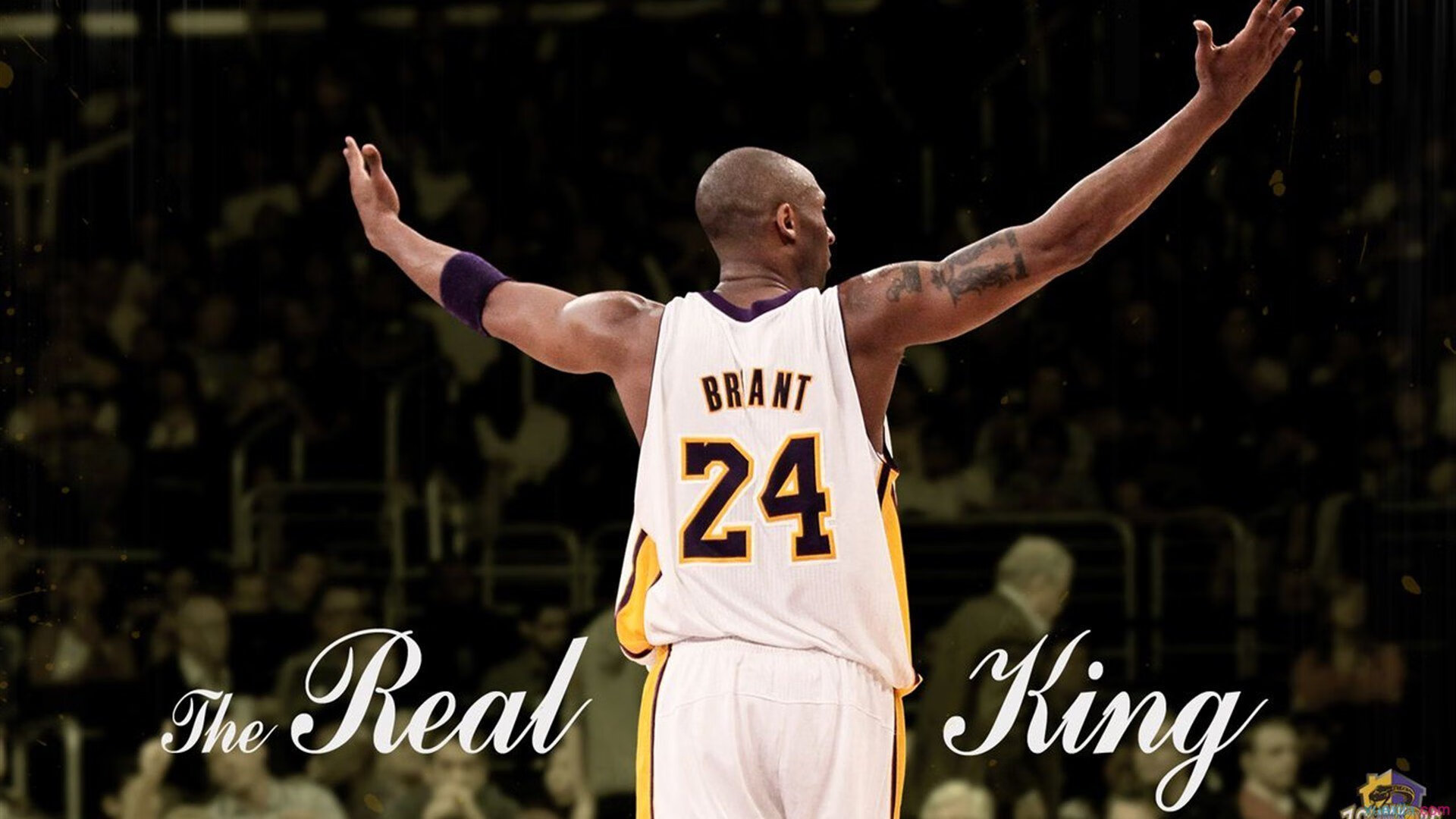 _国际羽毛球合作论坛:推动体育外交交流_,国际羽毛球组织